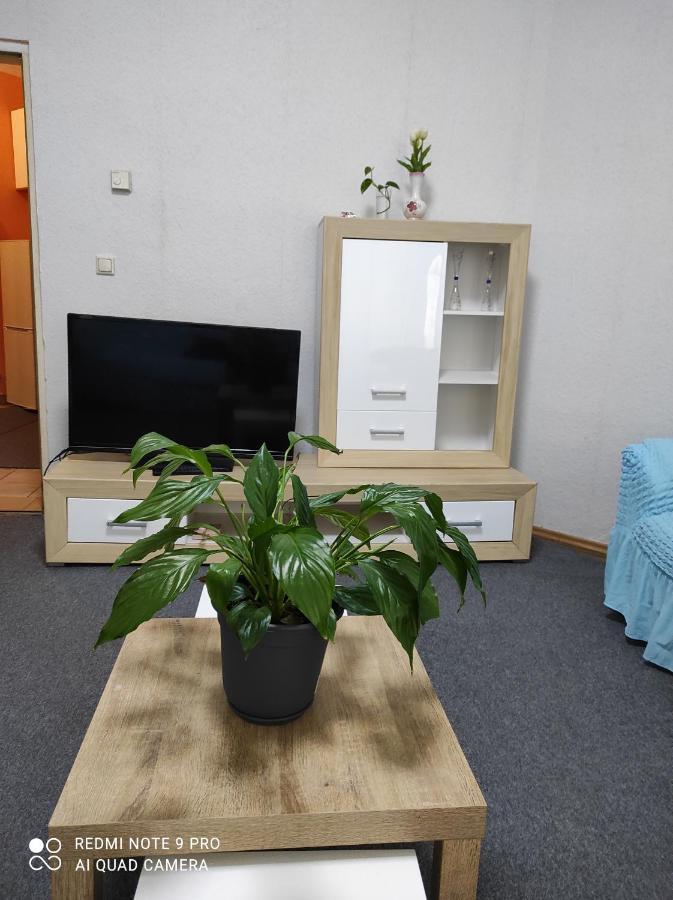 Rose Vienna Malfatigasse Apartman Kültér fotó